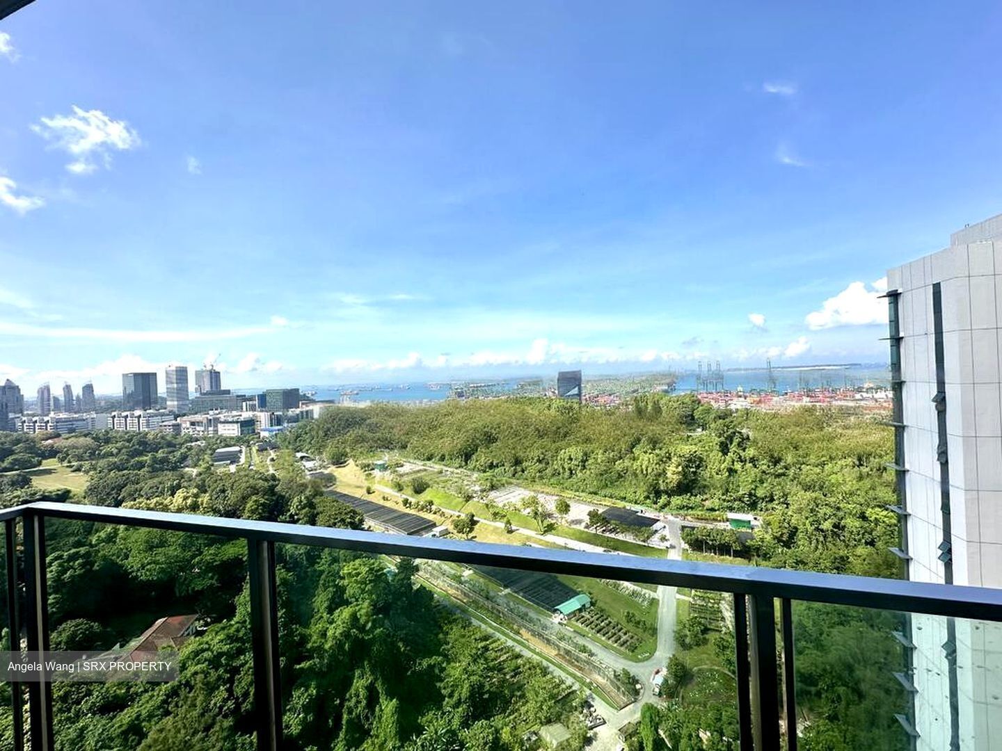 Normanton Park (D5), Apartment #491343841